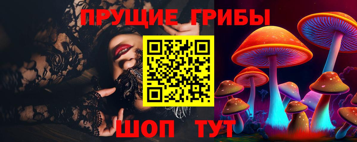 где купить наркотик  Галлюциногенные грибы Psilocybine cubensis  Вход с VPN  Набережные Челны  Галлюциногенные грибы прущие грибы 